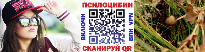 Галлюциногенные грибы прущие грибы  наркотики  Бокситогорск 